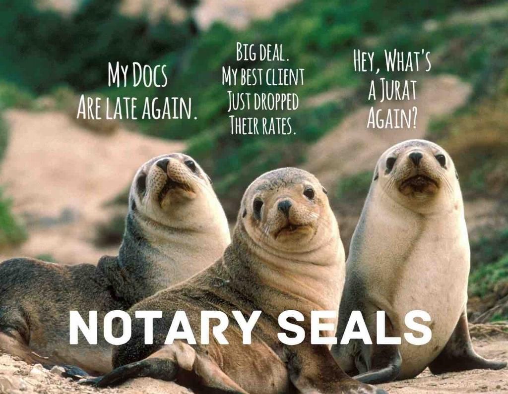 Role Of A Notary Public